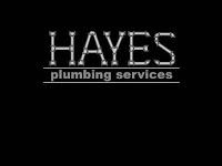 Hayes Plumbing Services 181661 Image 0