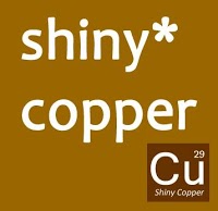 shinycopperplumbingcompany.com 203894 Image 0