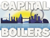 Capitalboilers.co.uk 197652 Image 3
